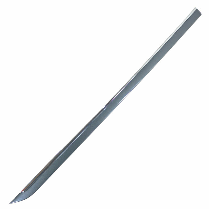 Door Molding RH Rear Cyber Grey 57U 637R & Chrome 2006-11 Cadillac DTS 20981252-2