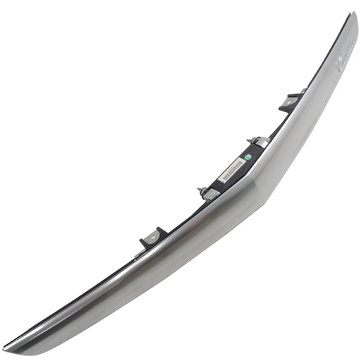 New OEM GM Decklid/Trunk Applique Galvano Silver 2016 Cadillac XTS 84000677-1