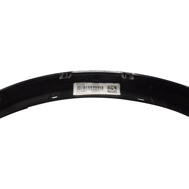 Fender Flare Assembly RH Rear Blue Eyes Metallic 2008-17 Buick Enclave 22785288-3