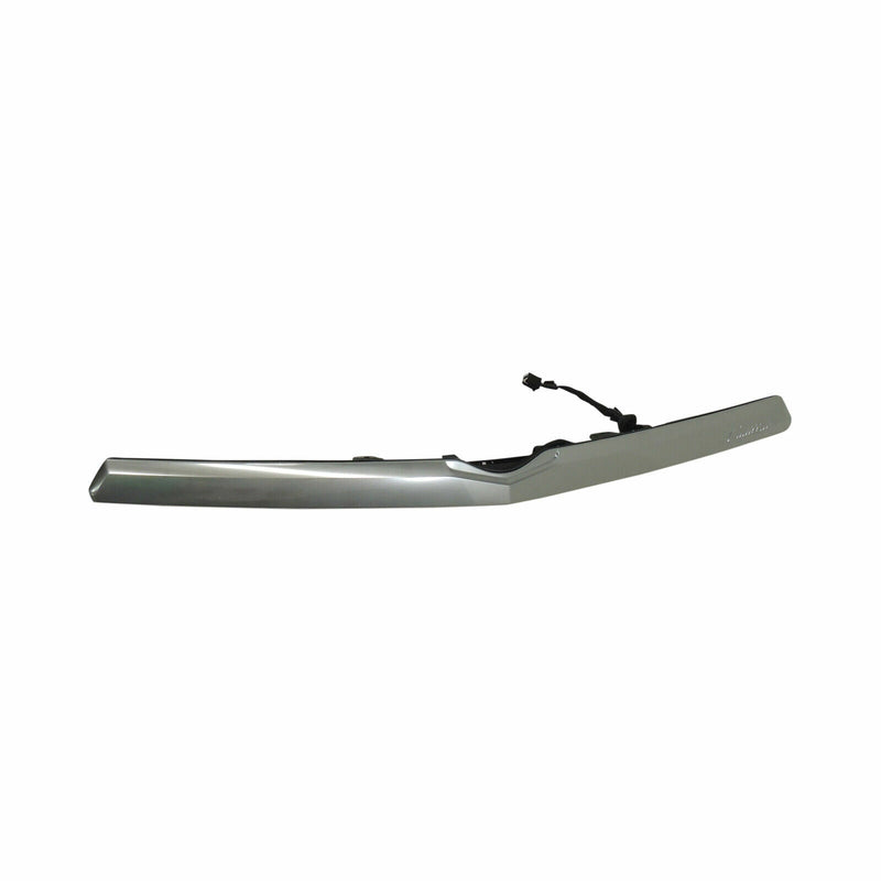 New OEM GM Rear Decklid Applique Galvano Silver Single Camera 17-19 Cadillac CTS-1