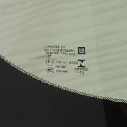 New OEM GM Windshield 2014-18 Silverado Sierra With RPO UFL 84250367-9