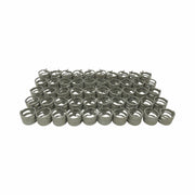 Constant Tension Hose Clamp 100 Pack 25.5mm Open 20.5 Closed 12 Wide 909170063-3